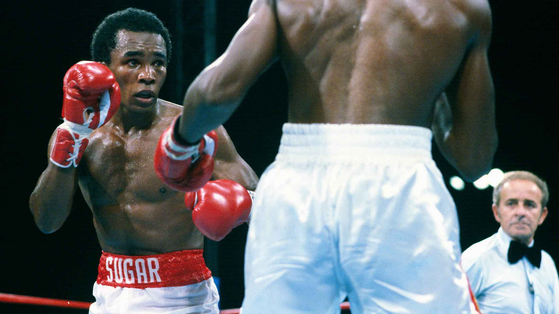sugar ray leonard wallpaper 0032