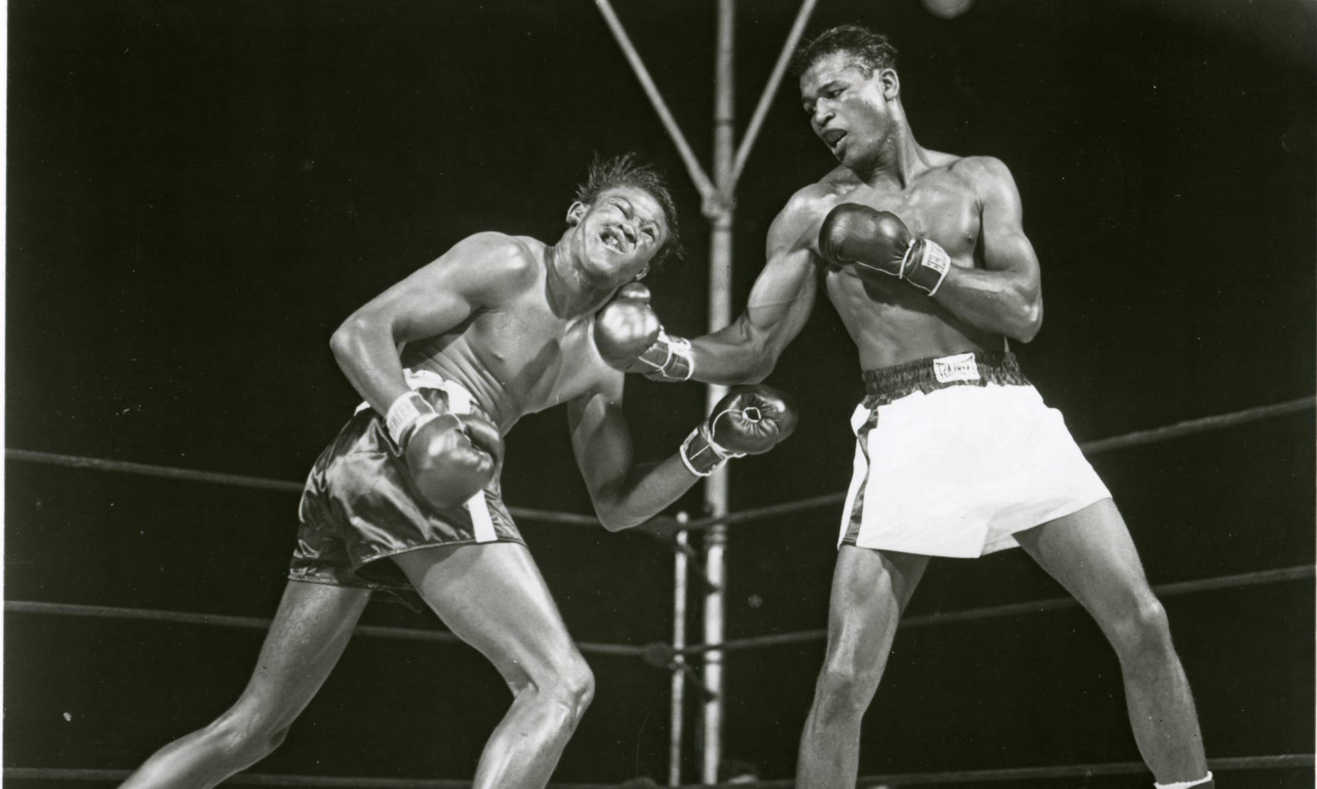 sugar ray leonard wallpaper 0047