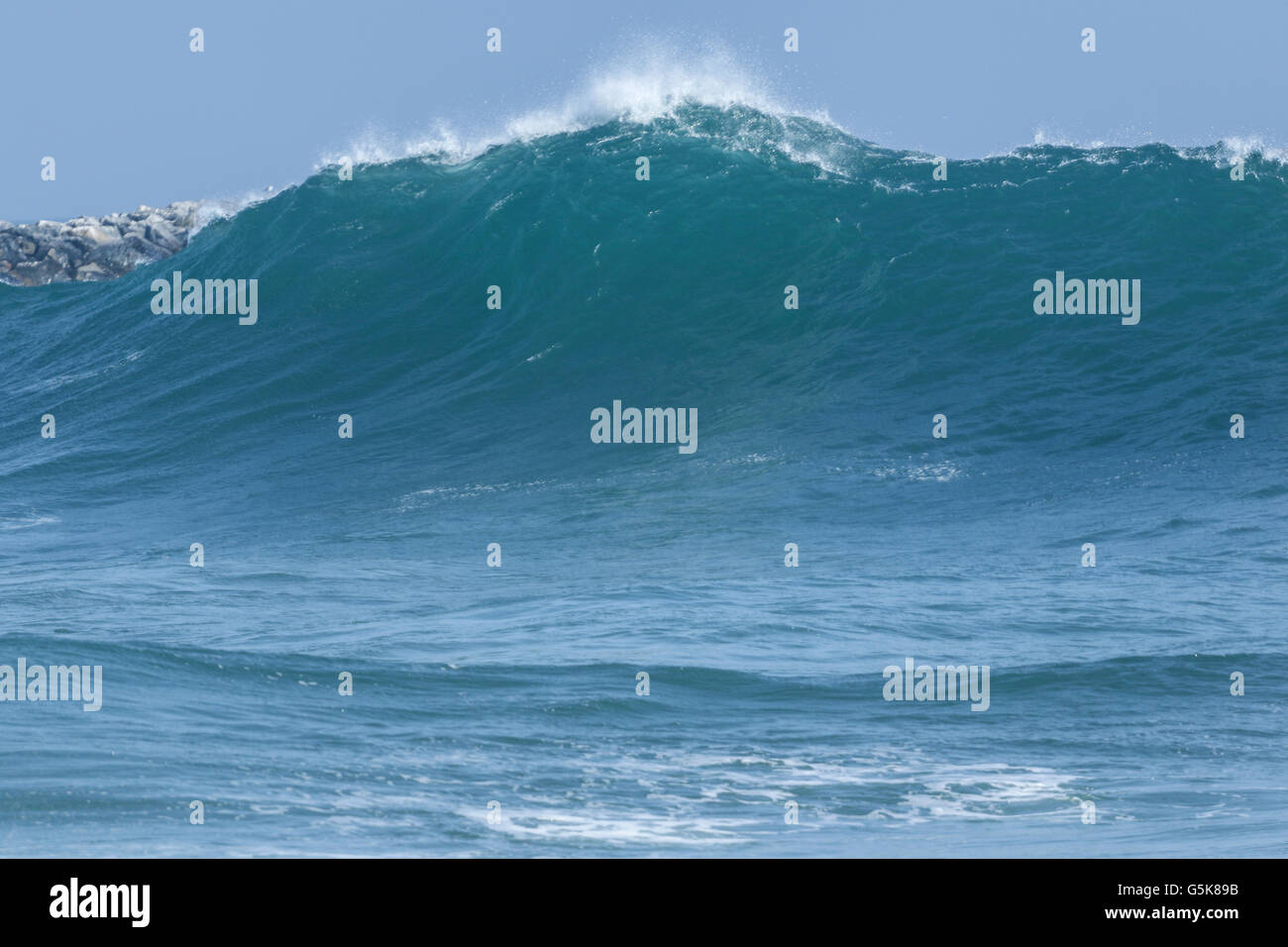surf forecast.