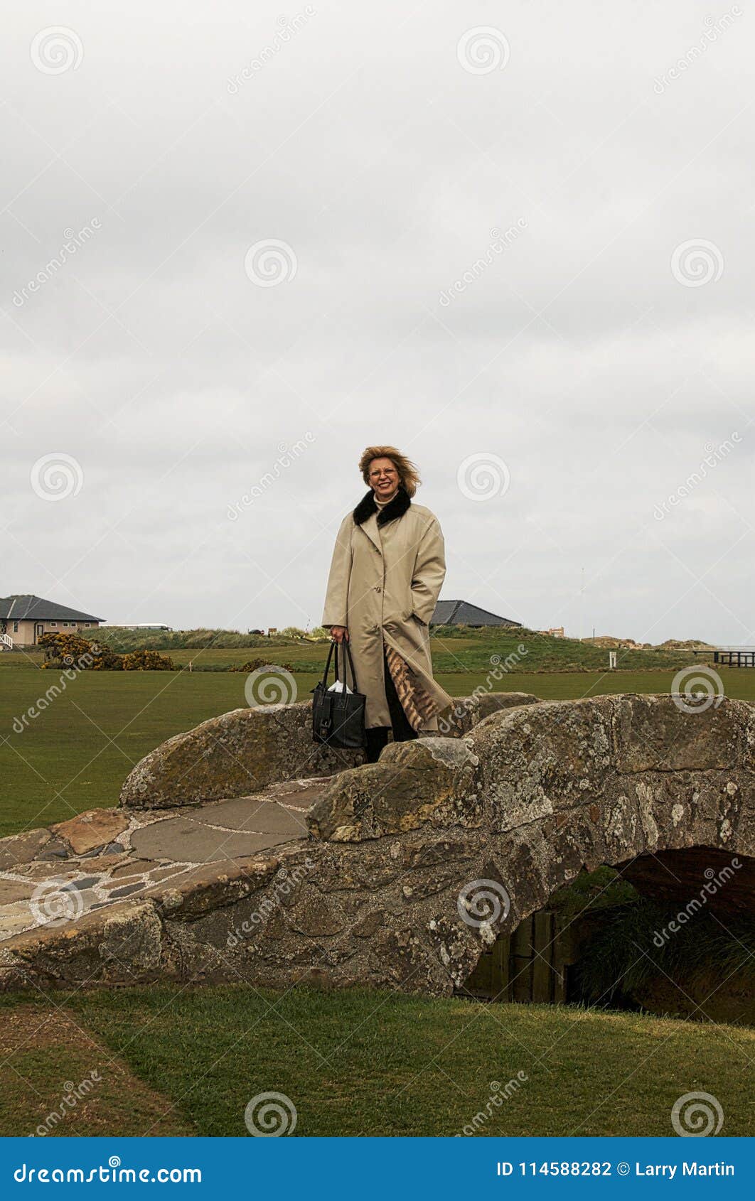 bridge at st andrews 0013