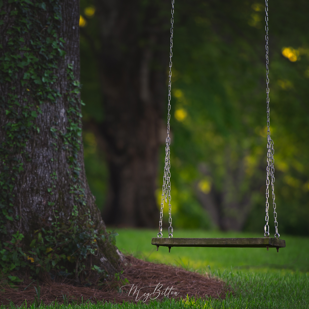 swing photography 0009
