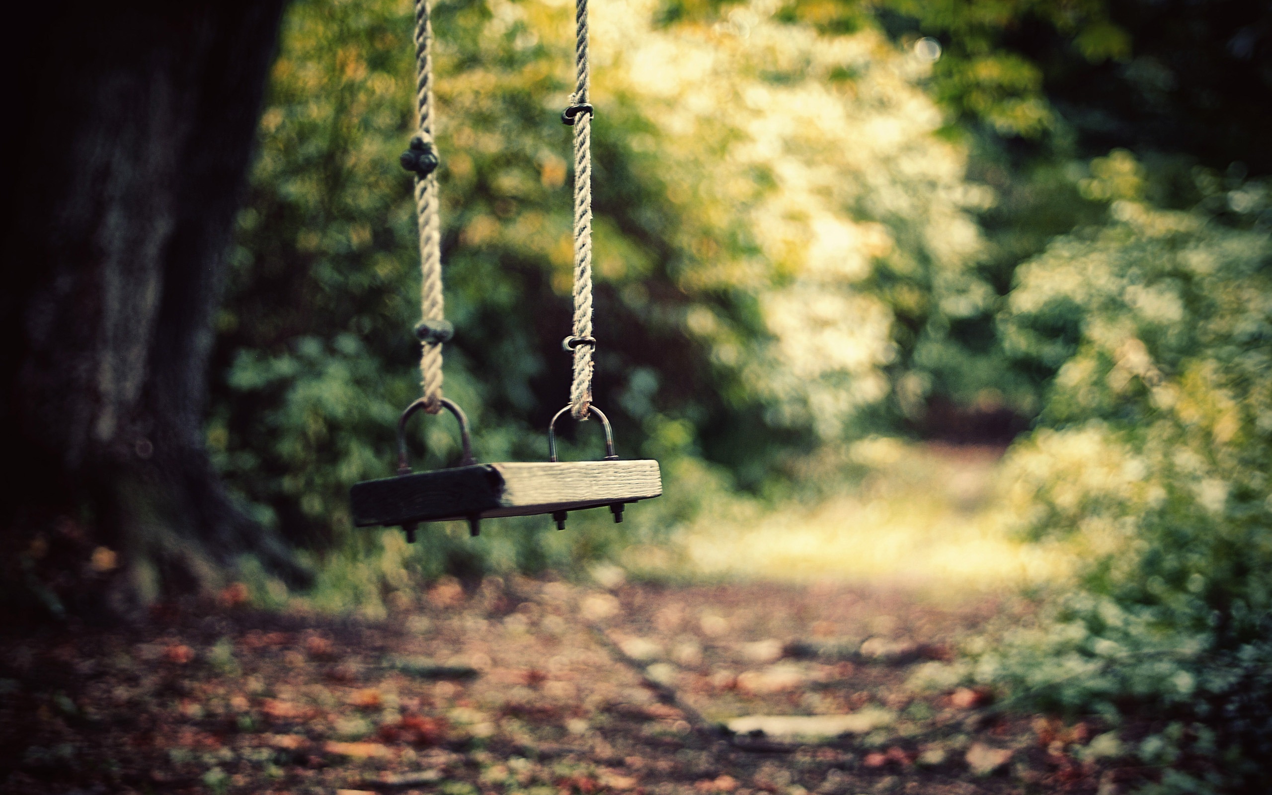swing photography 0030