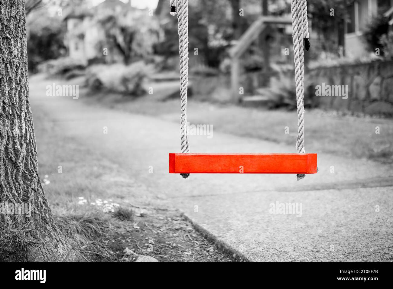 swing photography 0035