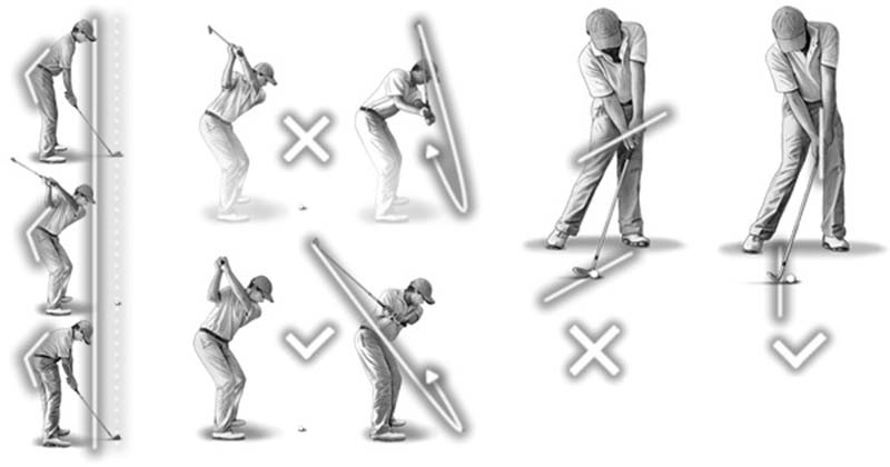 swing sport 0024
