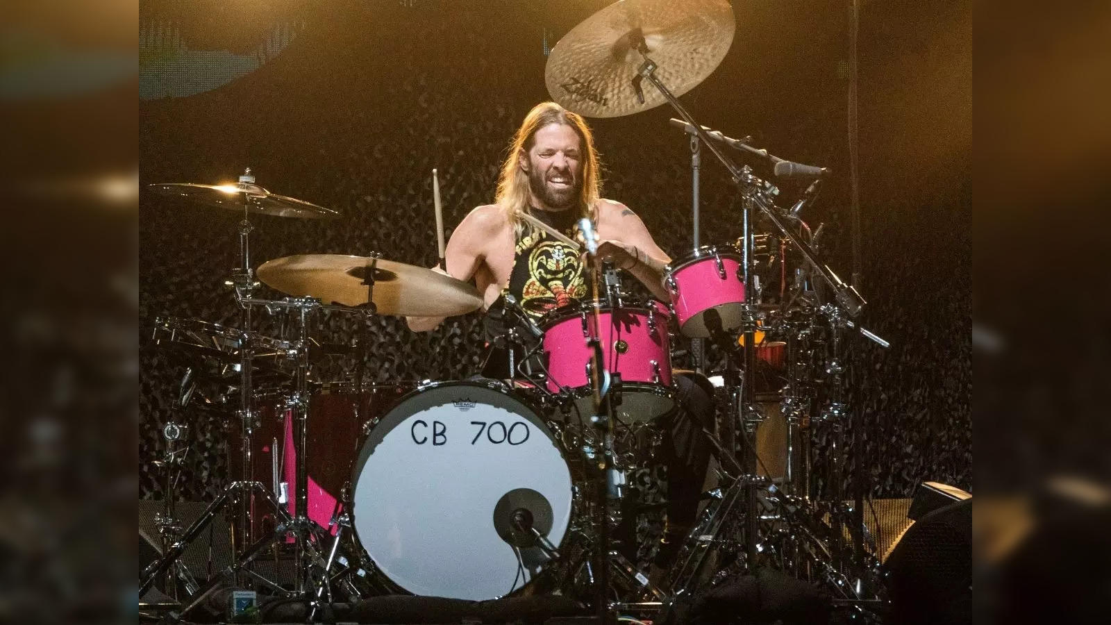 taylor hawkins wallpaper 0011