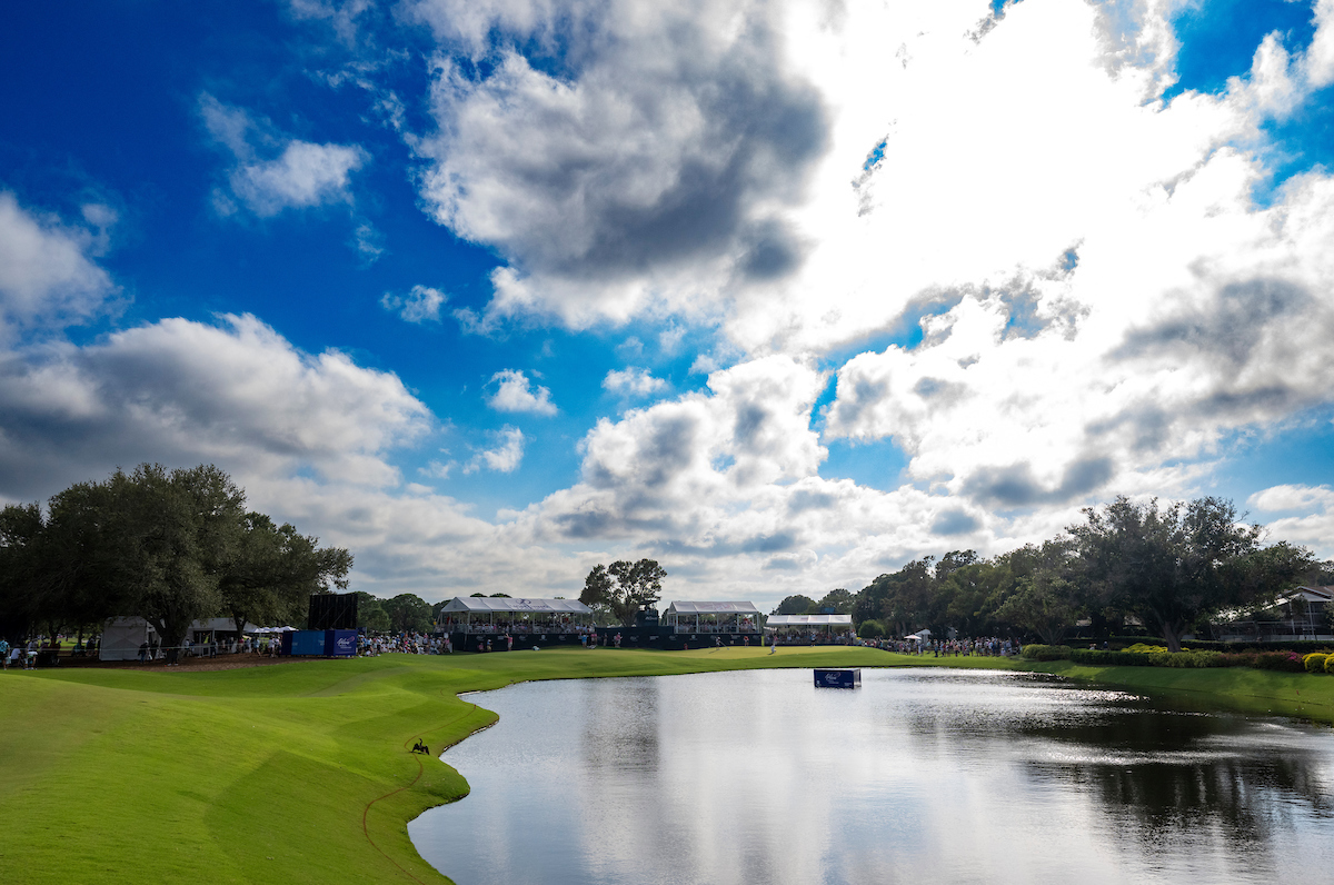 the pelican golf club 0040