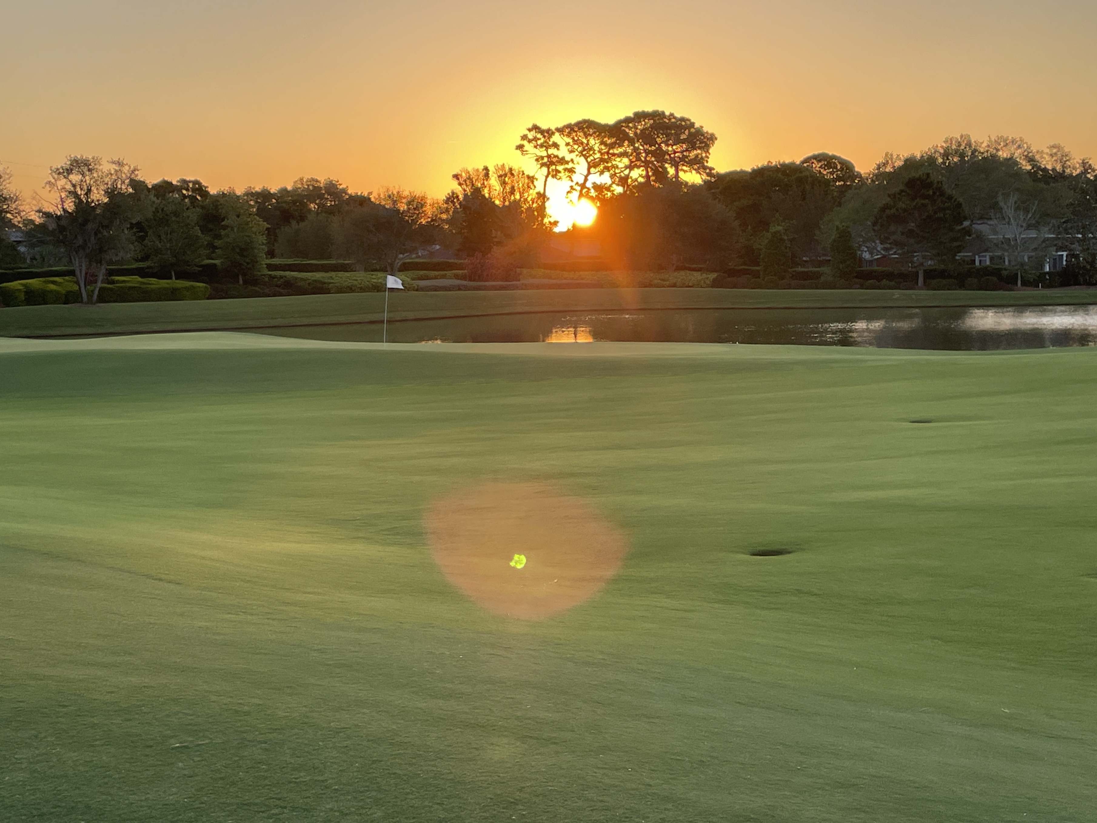 the pelican golf club 0045