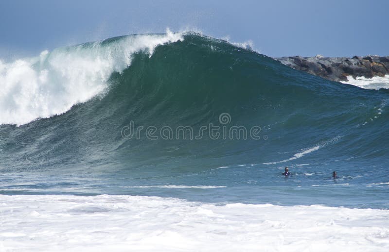 the wedge big waves 0015