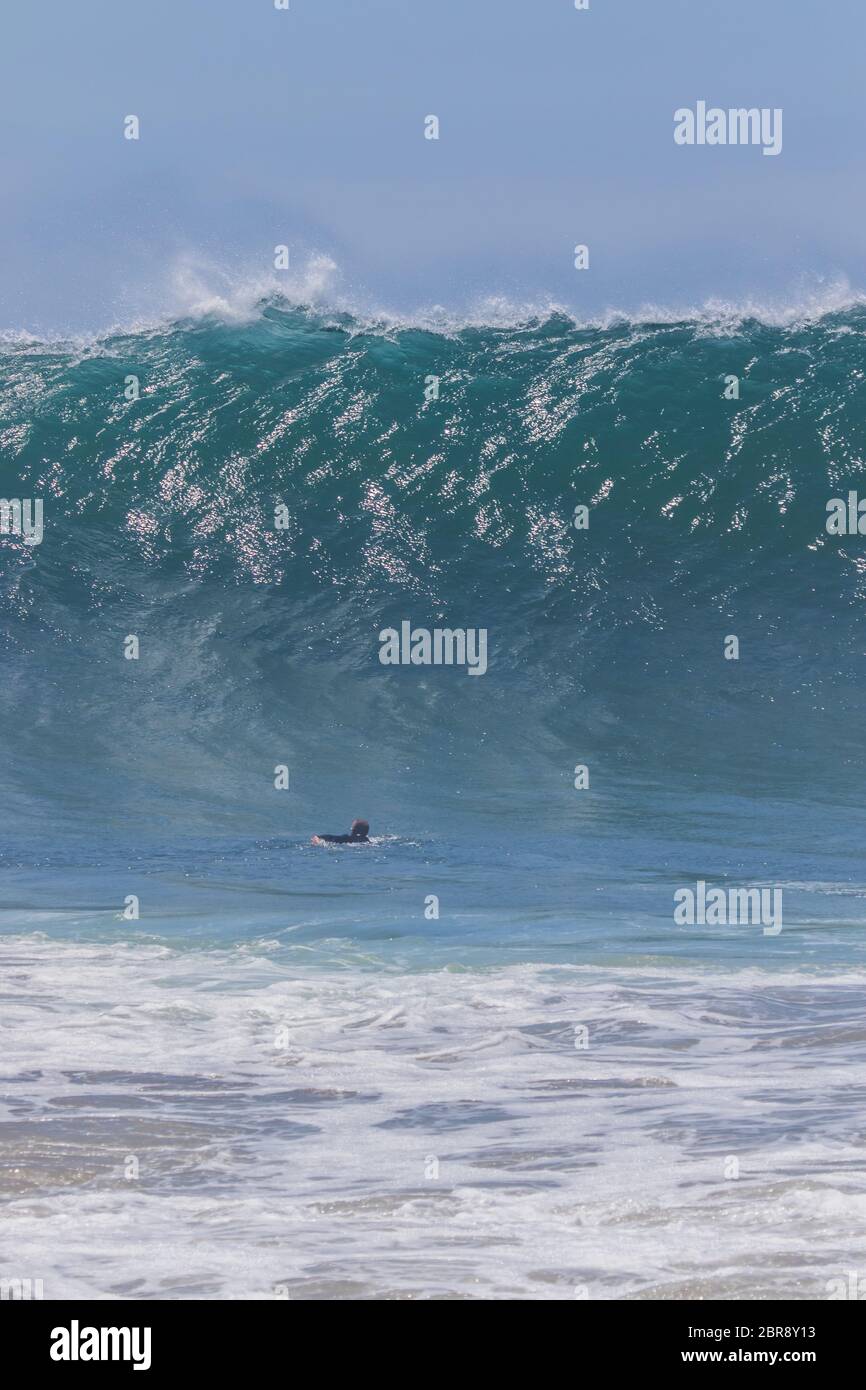 the wedge big waves 0017
