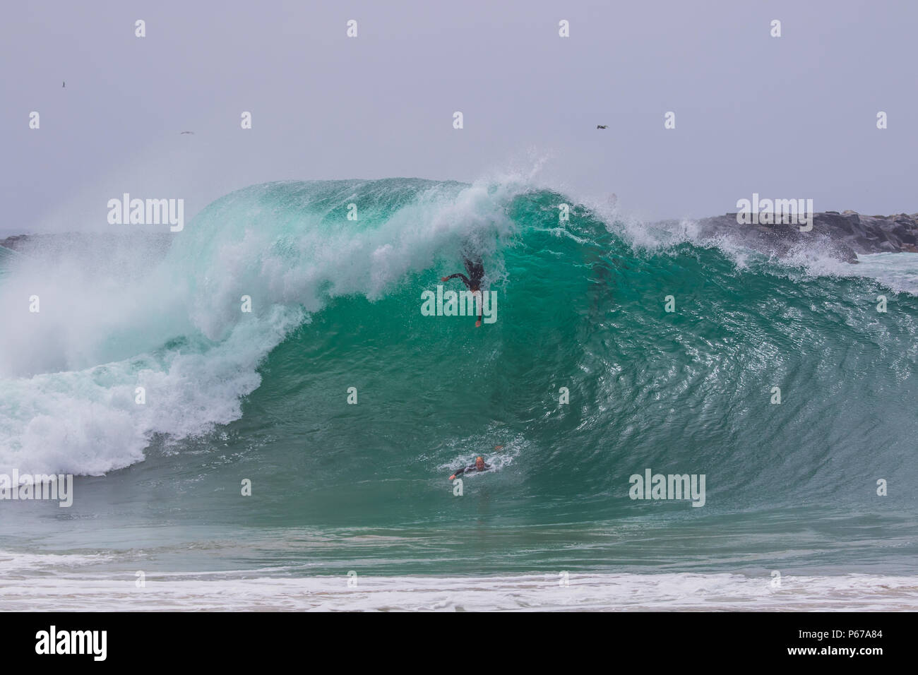 the wedge big waves 0023