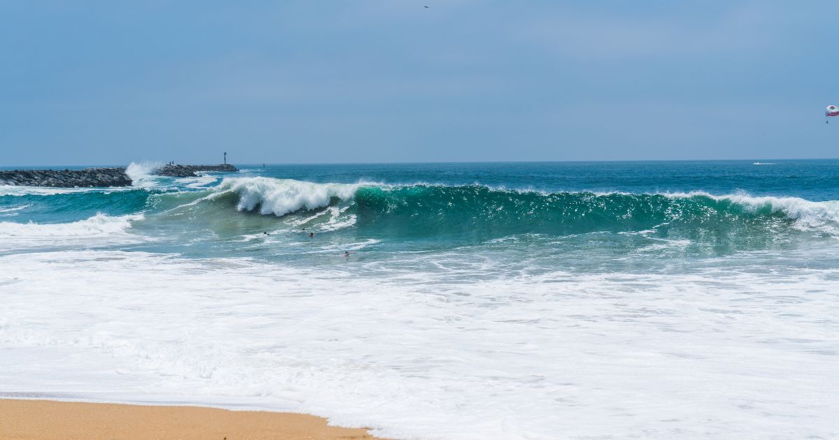the wedge big waves 0025