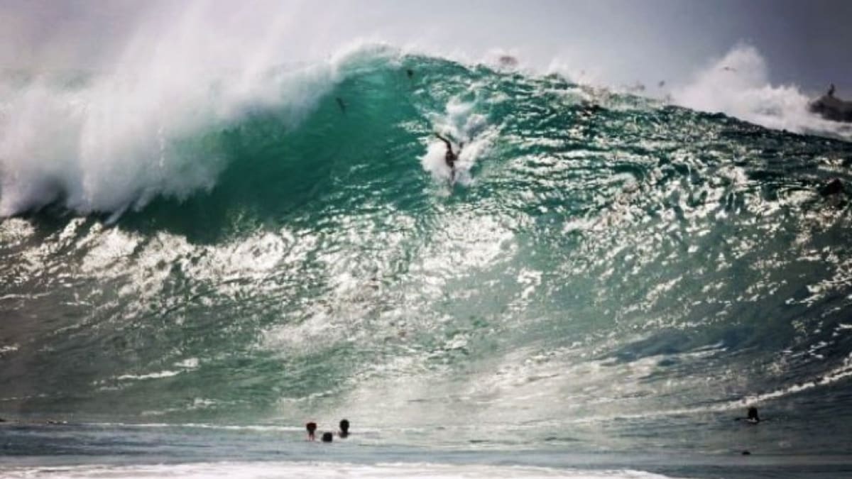 the wedge big waves 0026