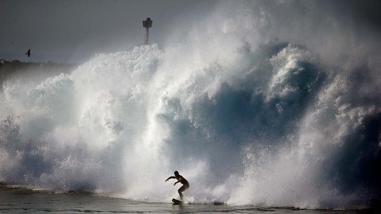 the wedge big waves 0036