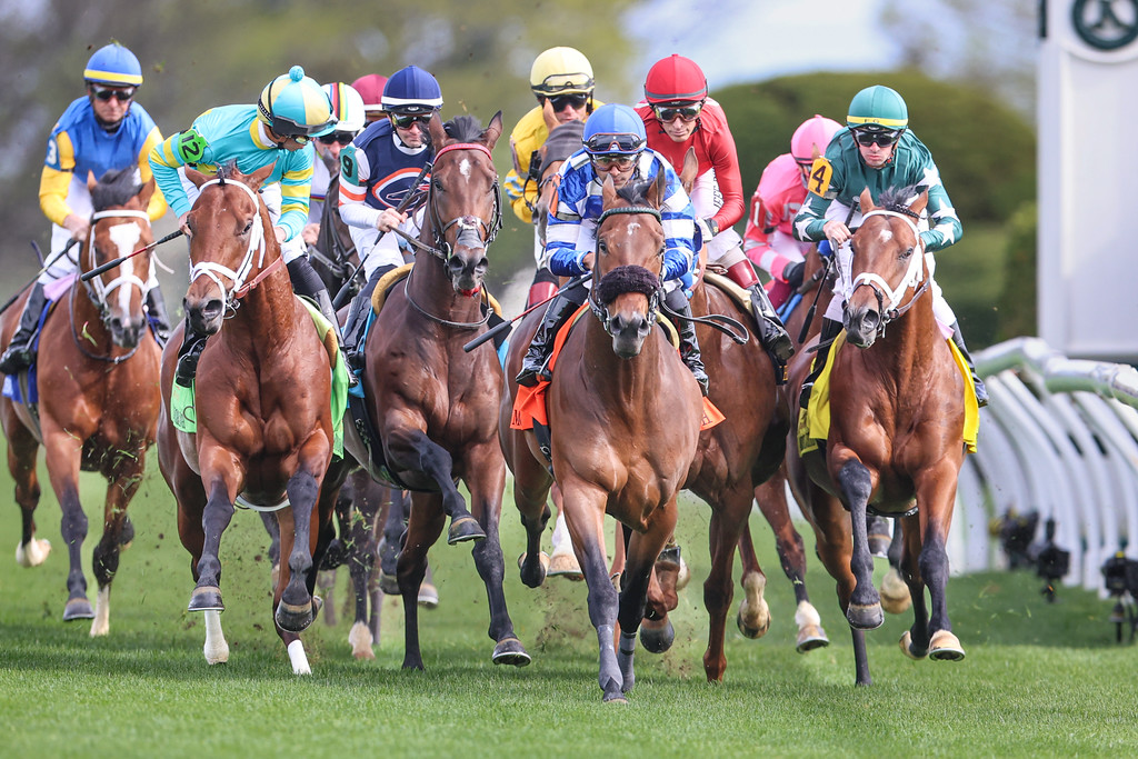 thoroughbred racing images