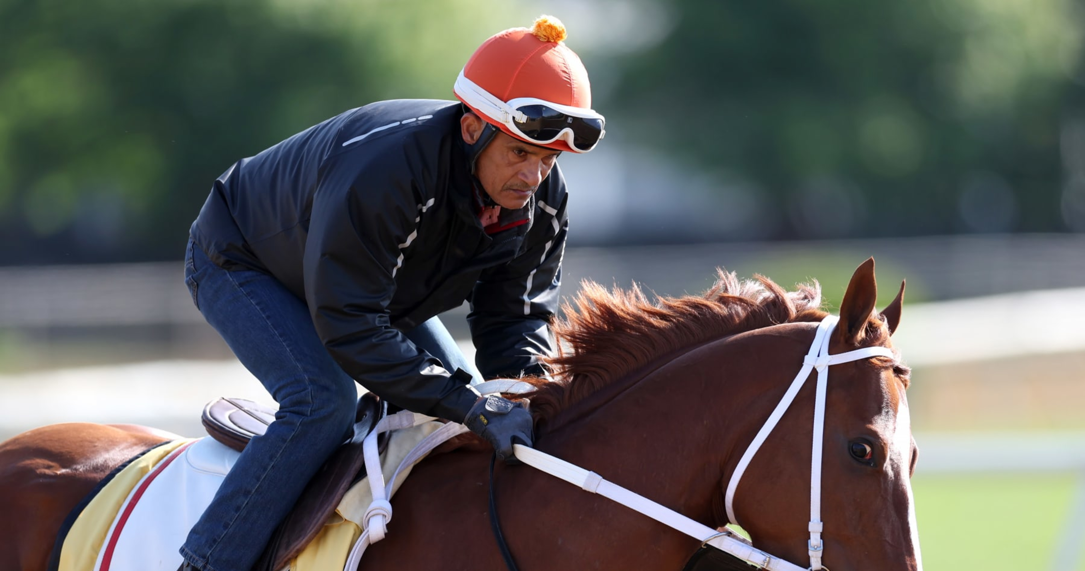 thoroughbred racing photos.