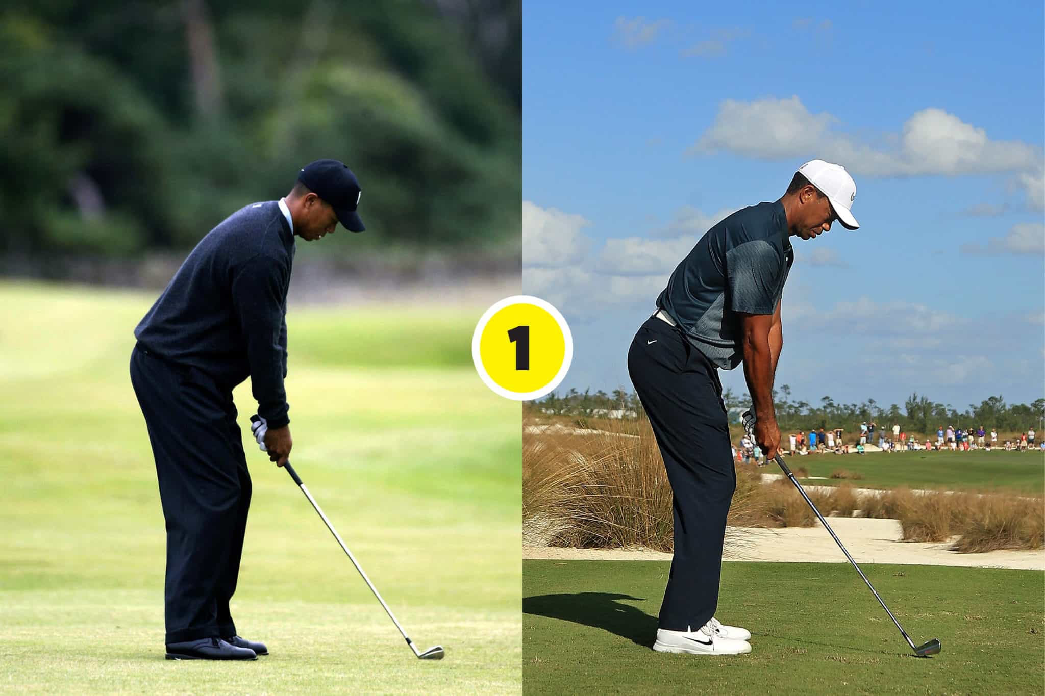 Tiger back swing 0010