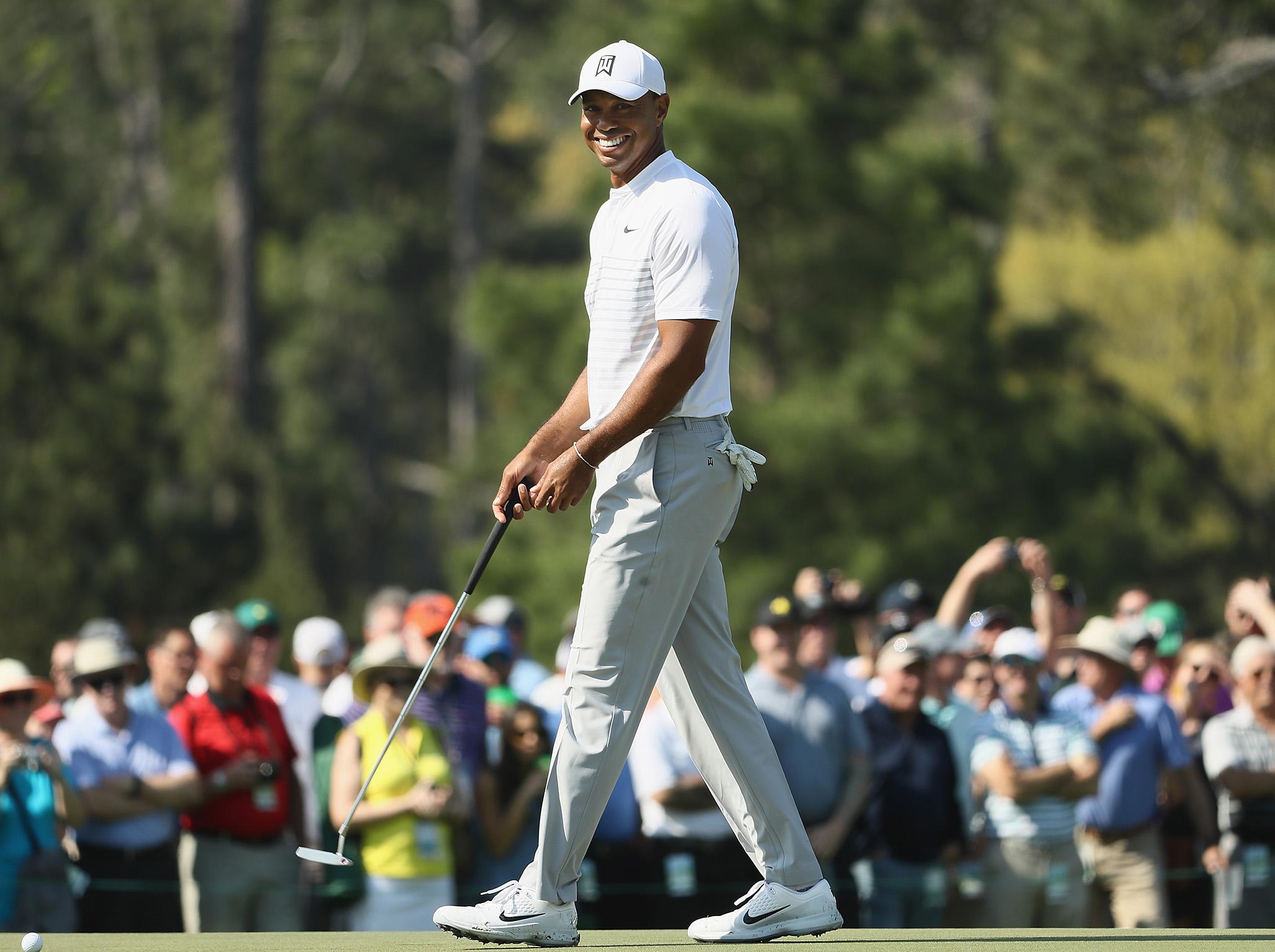 Tiger back swing 0021