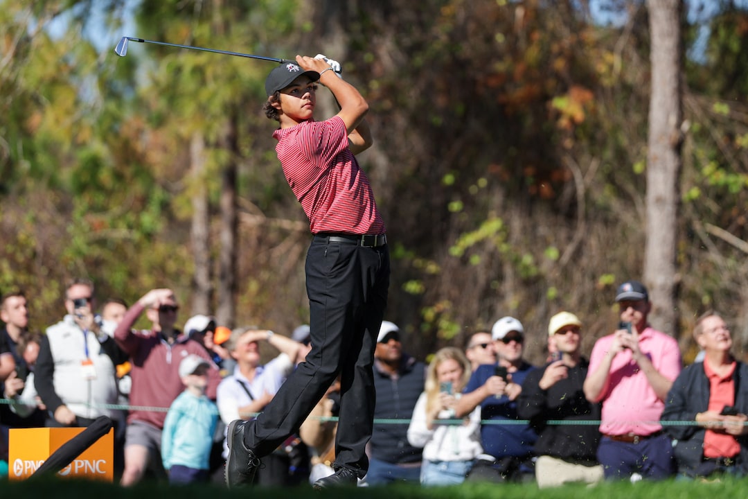 Tiger back swing 0024