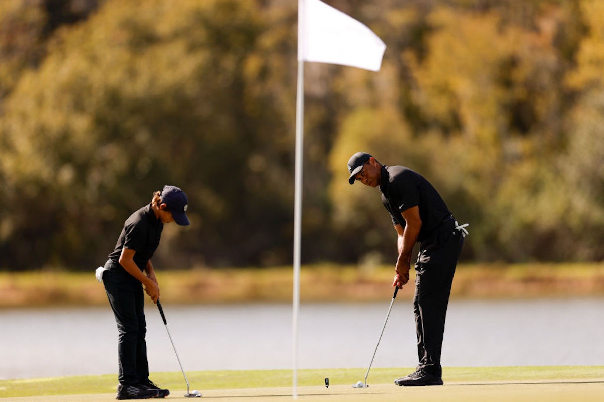 Tiger back swing 0027