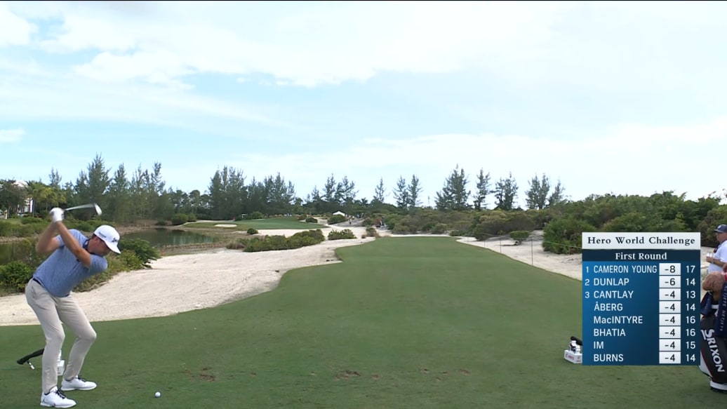 Tiger back swing 0047