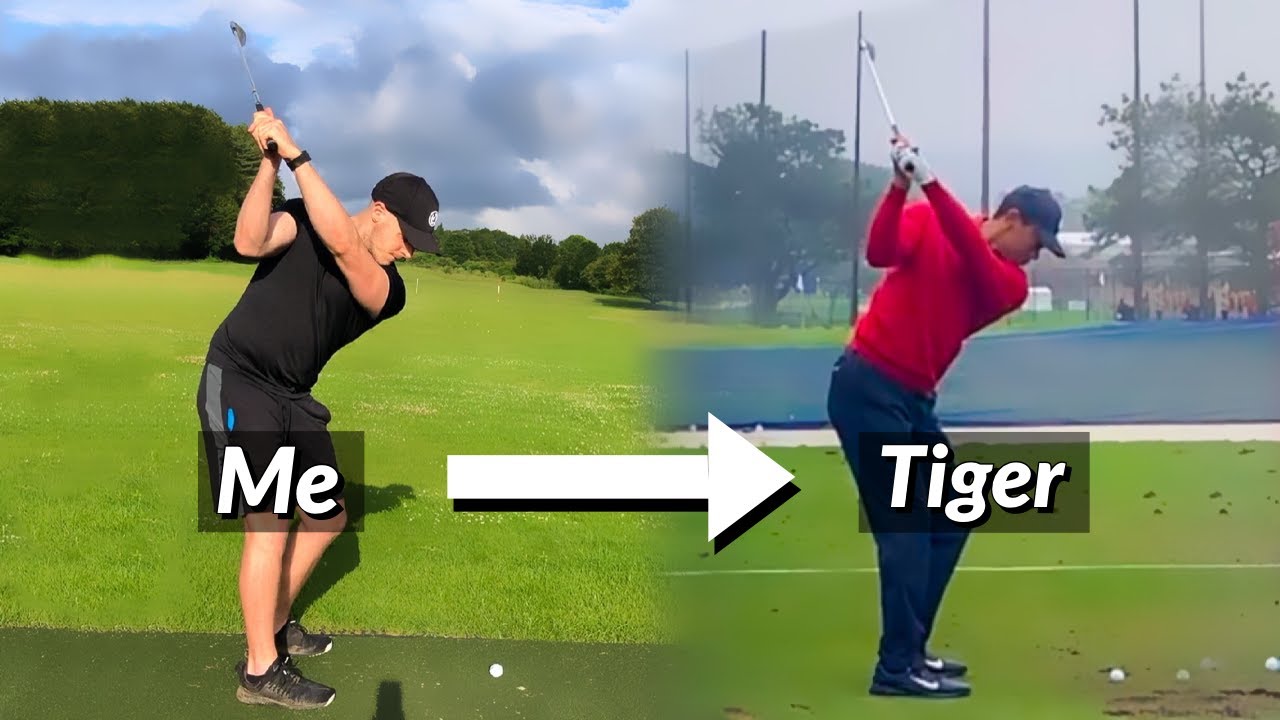 Tiger backswing