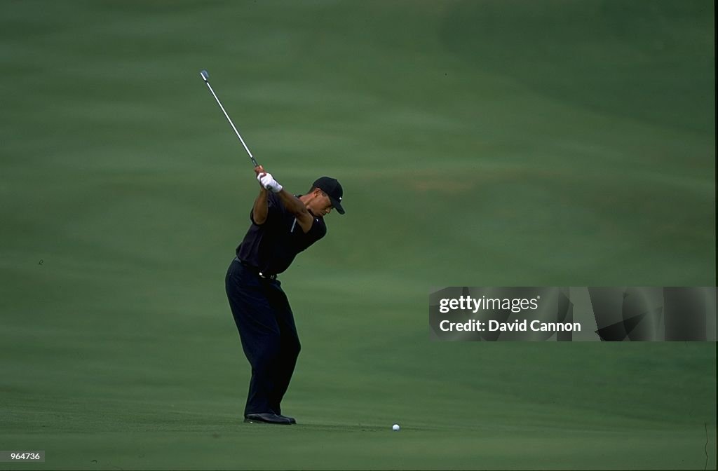 tiger backswing 0017
