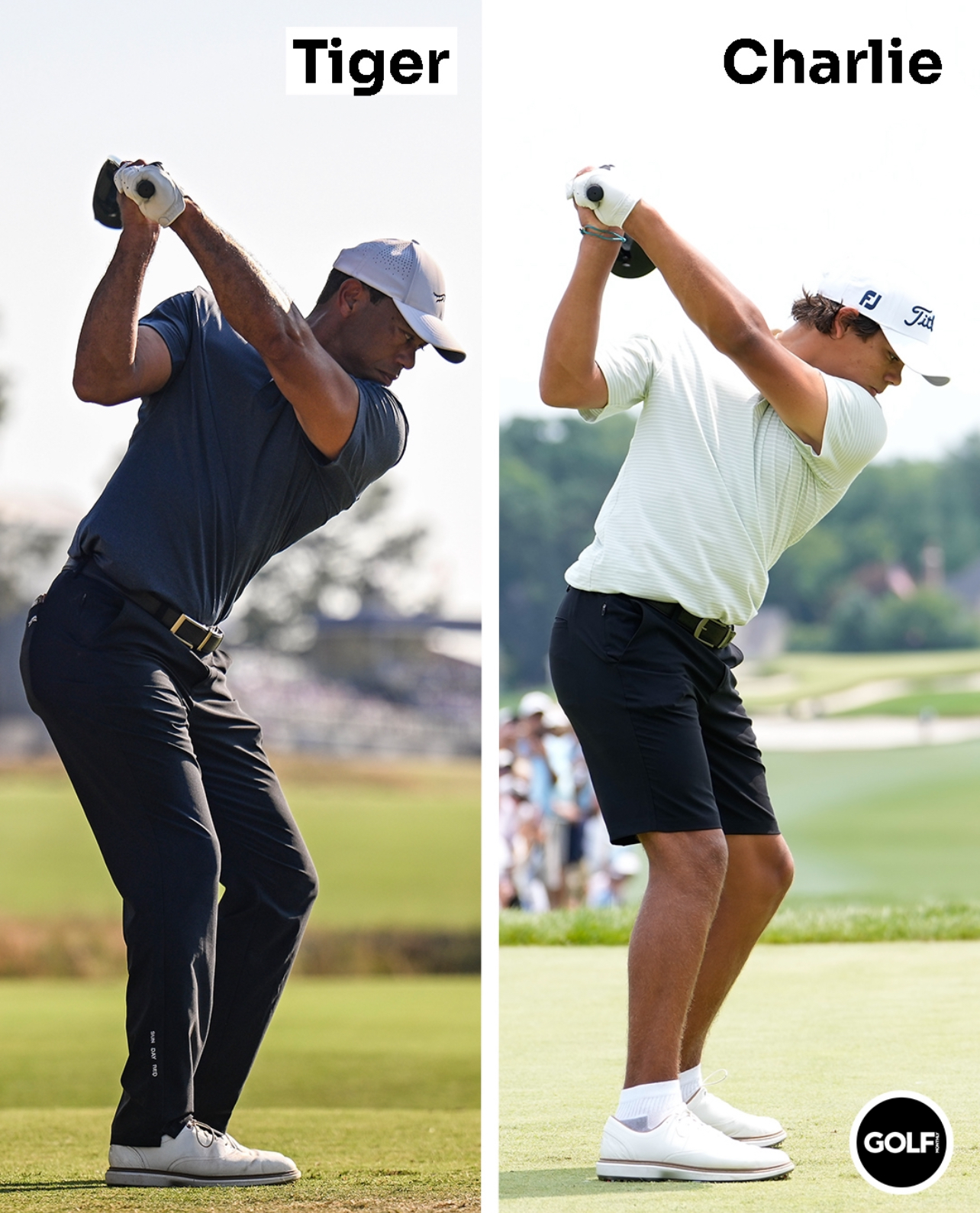 tiger backswing 0020