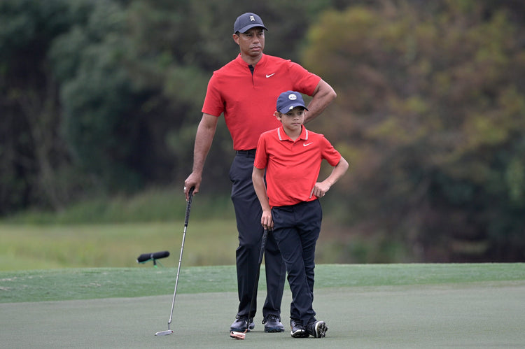 tiger backswing 0029