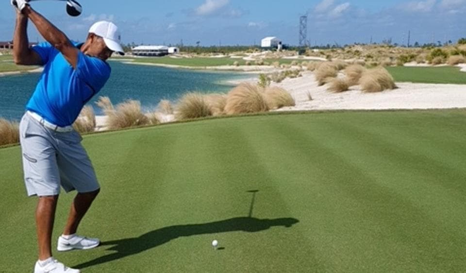 tiger backswing 0045