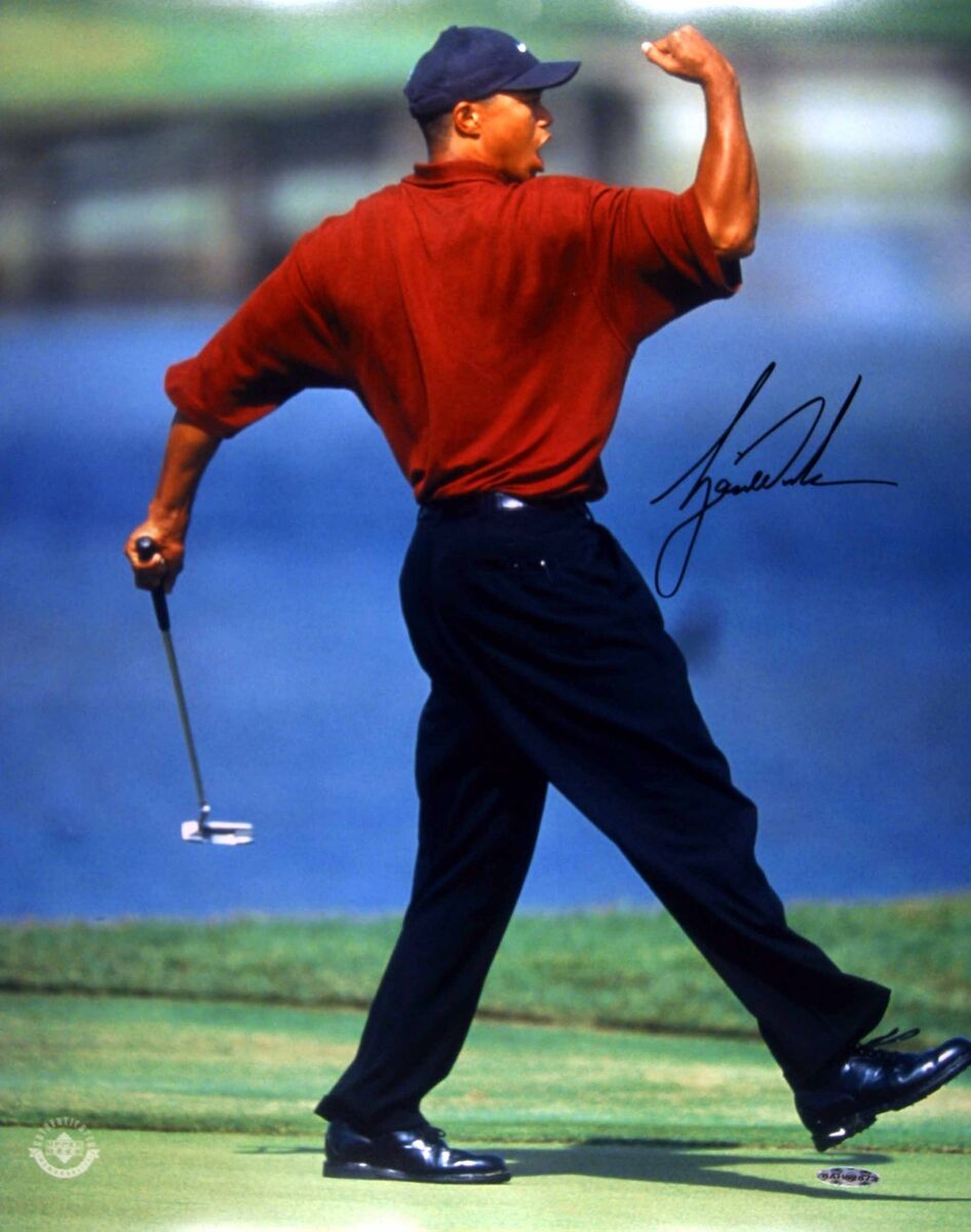Tiger fist pump 0011