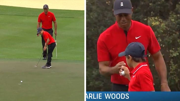 Tiger fist pump 0012