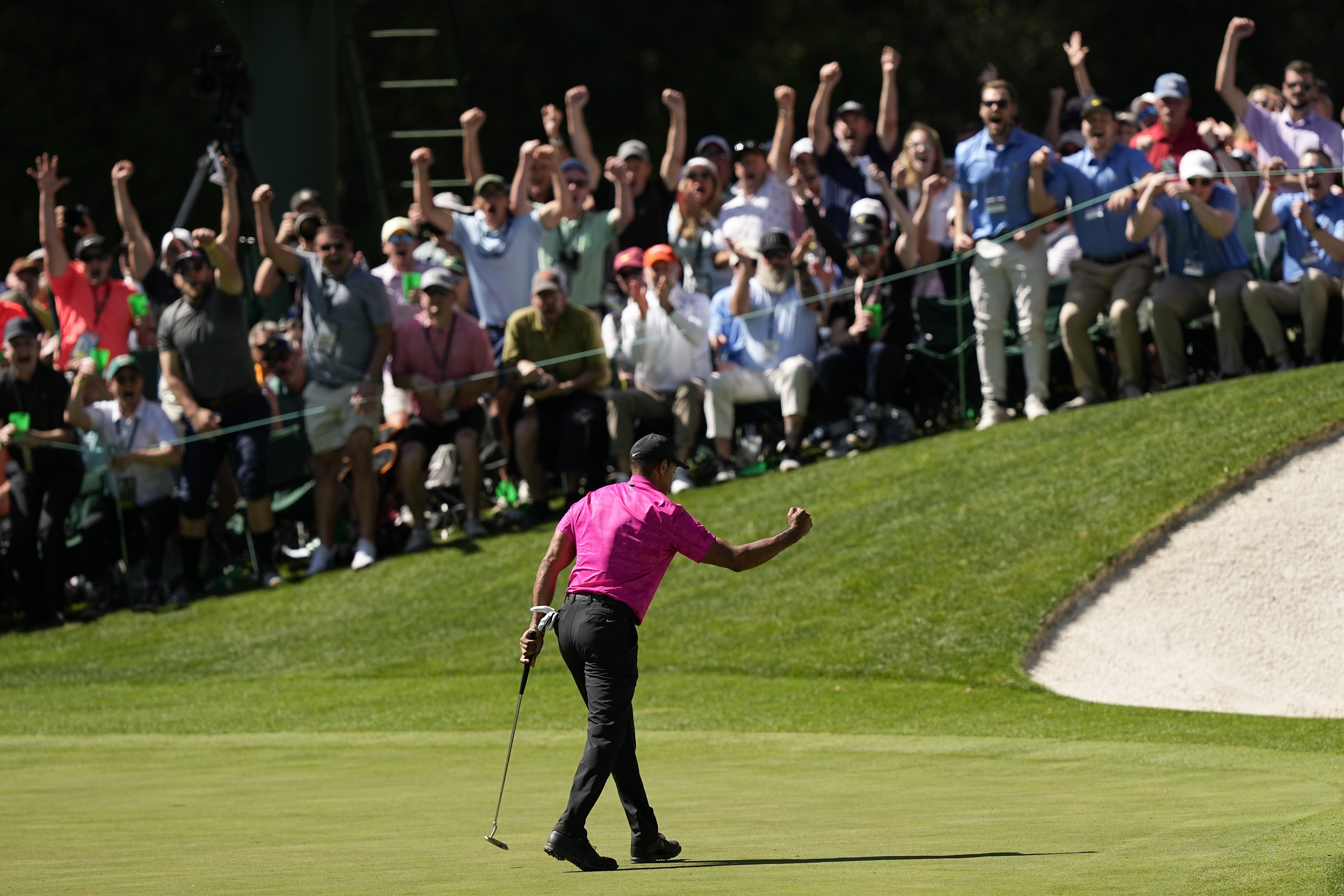Tiger fist pump 0014