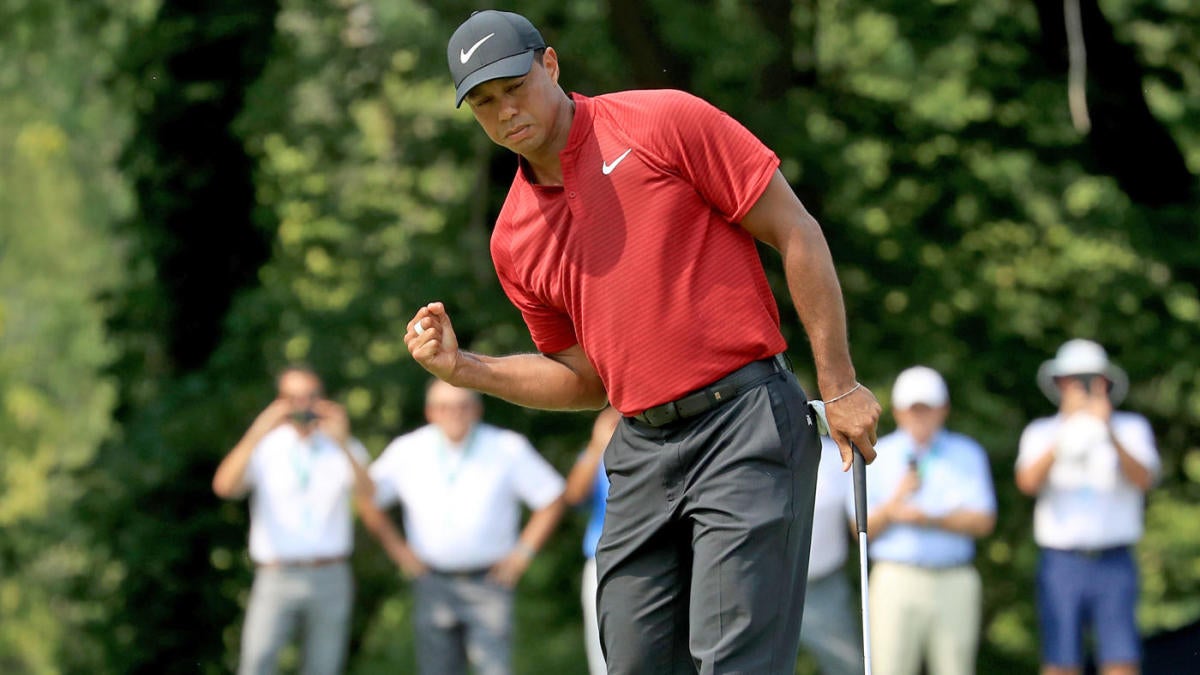 Tiger fist pump 0015