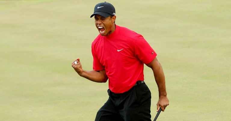 Tiger fist pump 0017