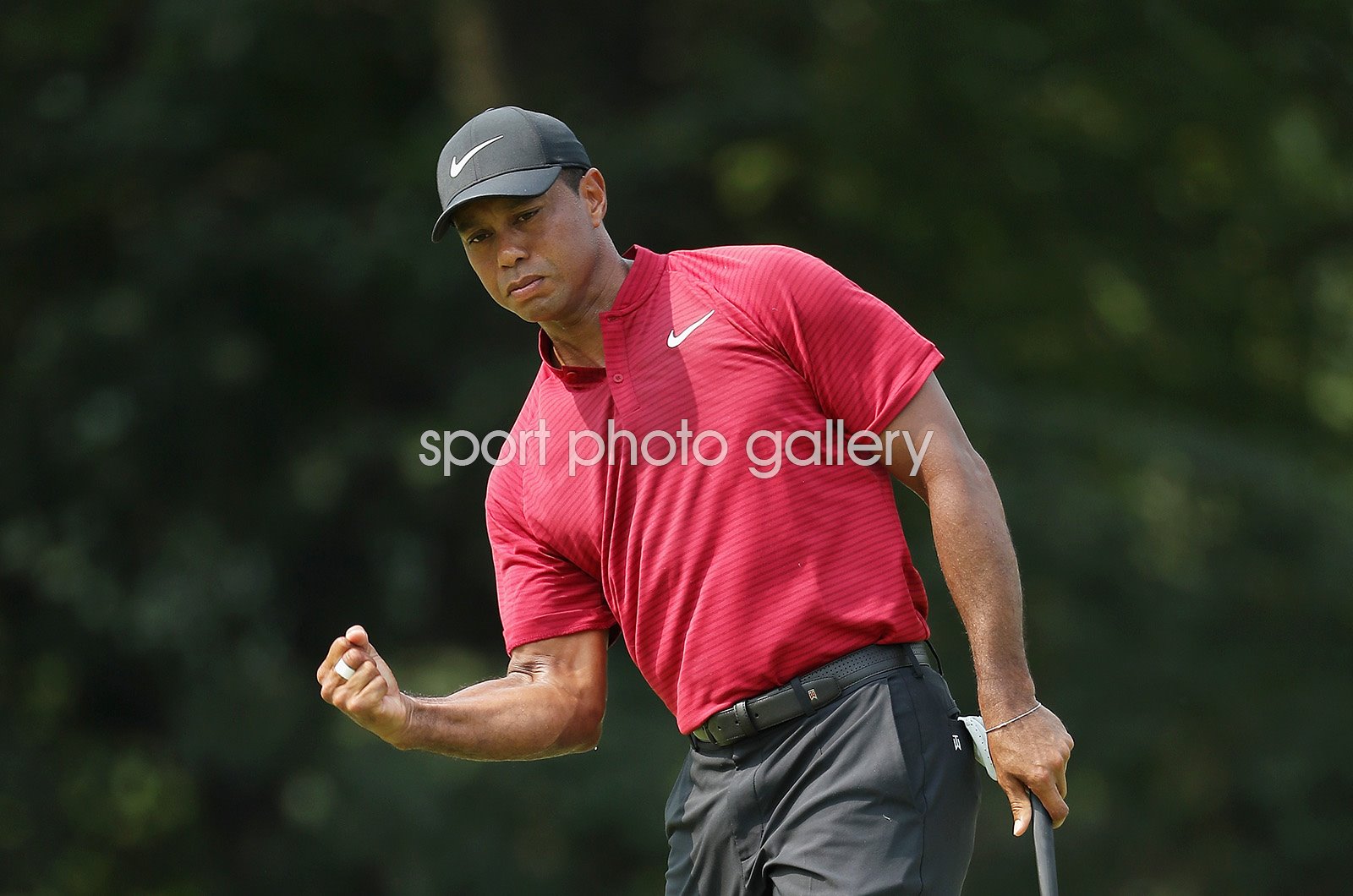 Tiger fist pump 0018