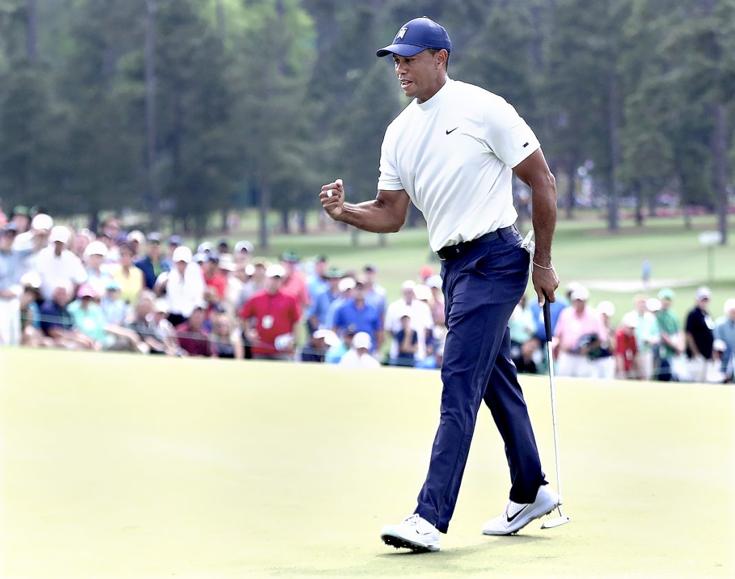 Tiger fist pump 0020