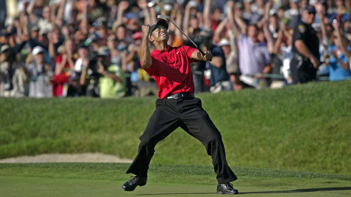 Tiger fist pump 0021