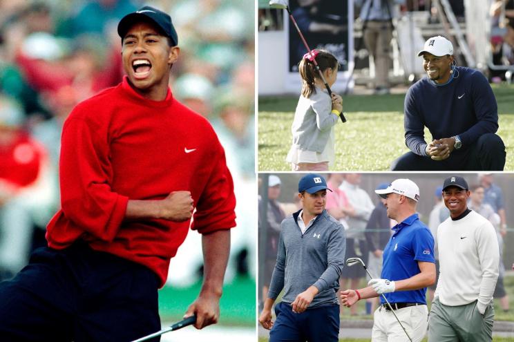 Tiger fist pump 0022