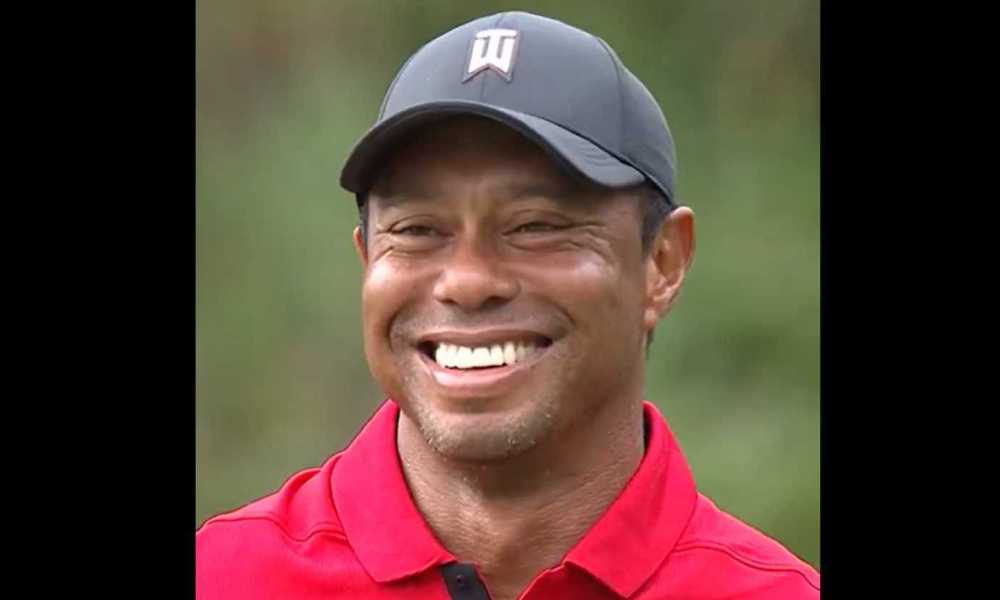 Tiger fist pump 0023