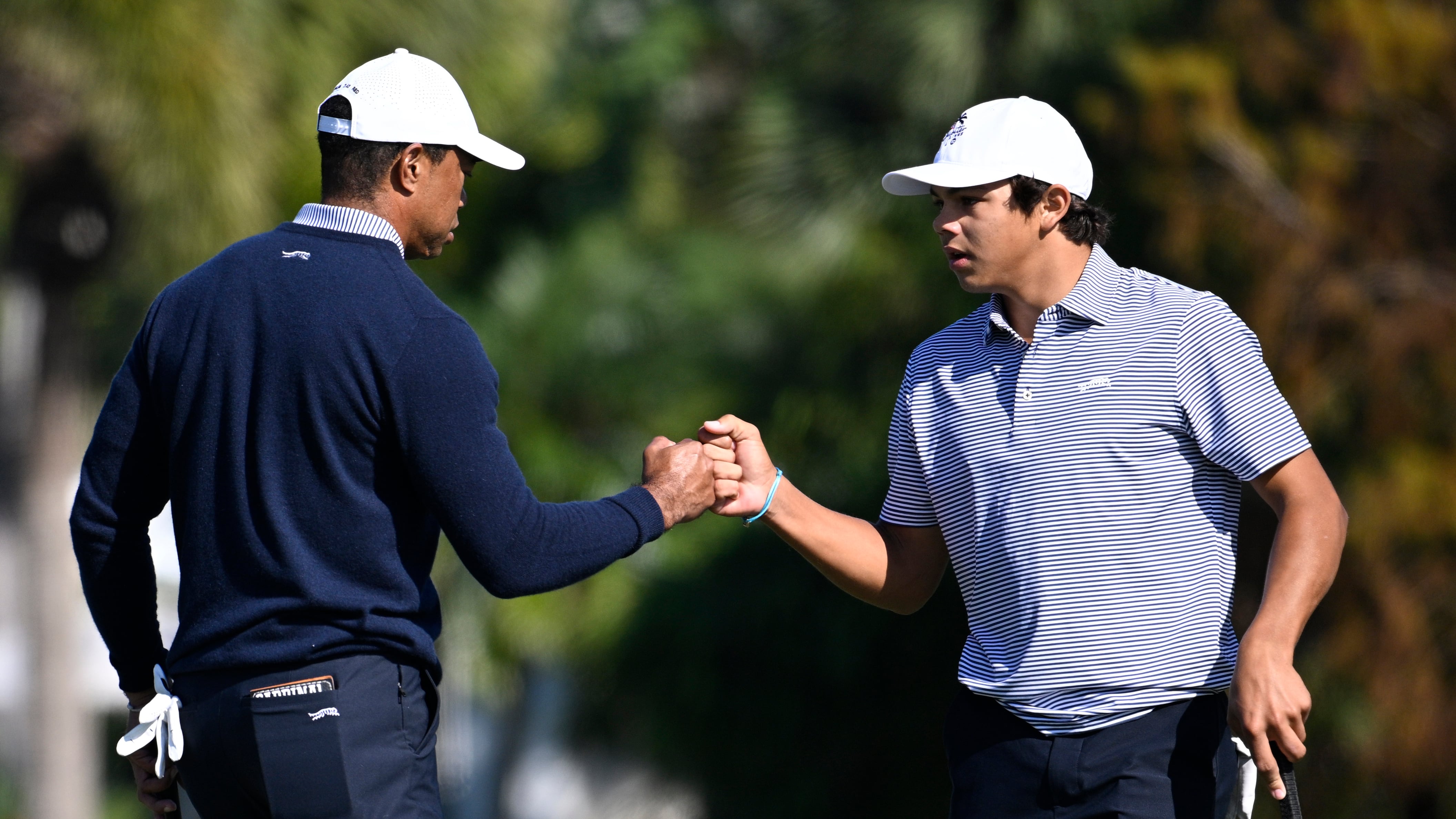 Tiger fist pump 0024