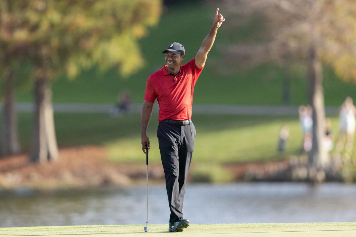 Tiger fist pump 0026