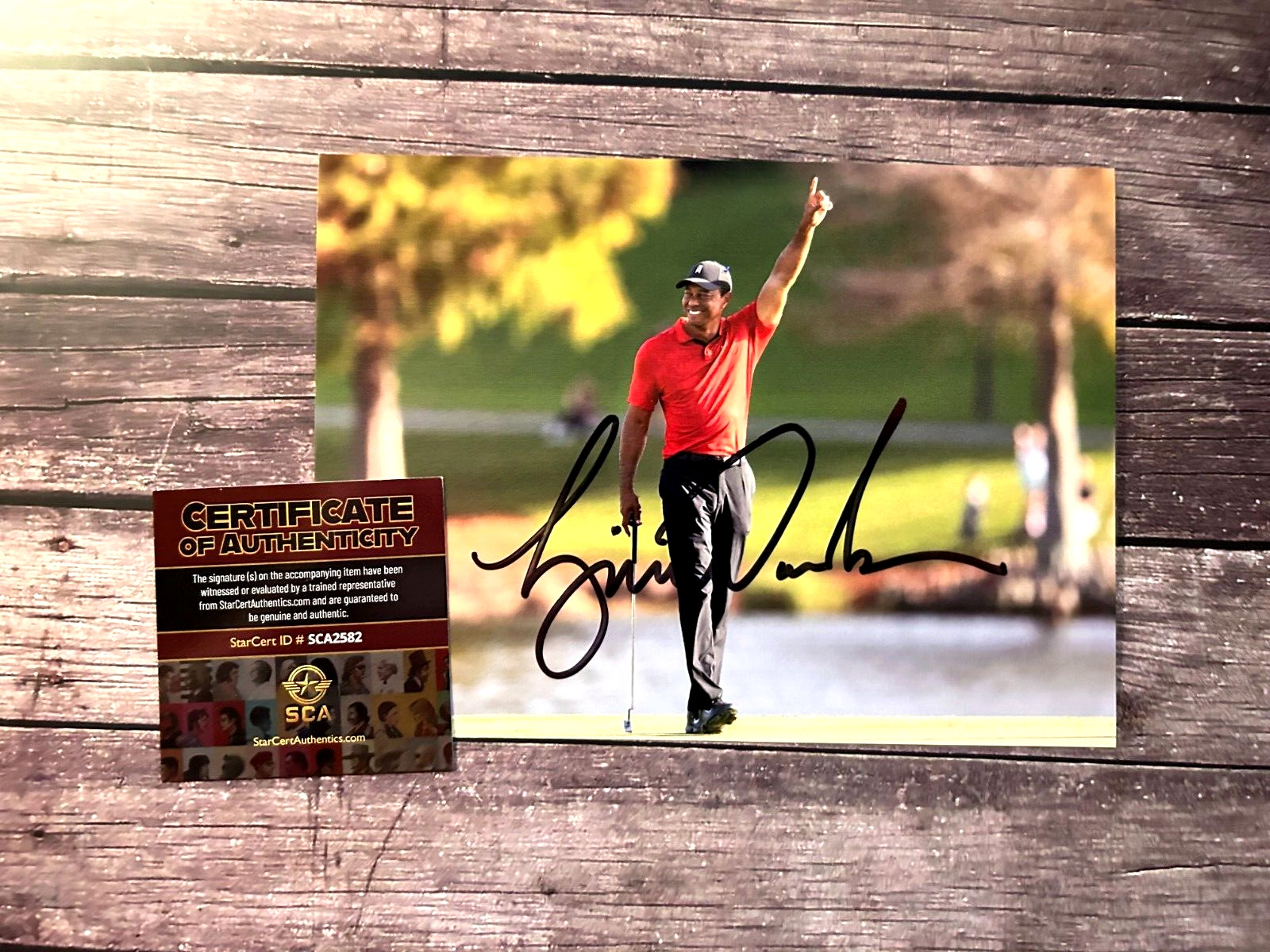Tiger fist pump 0028