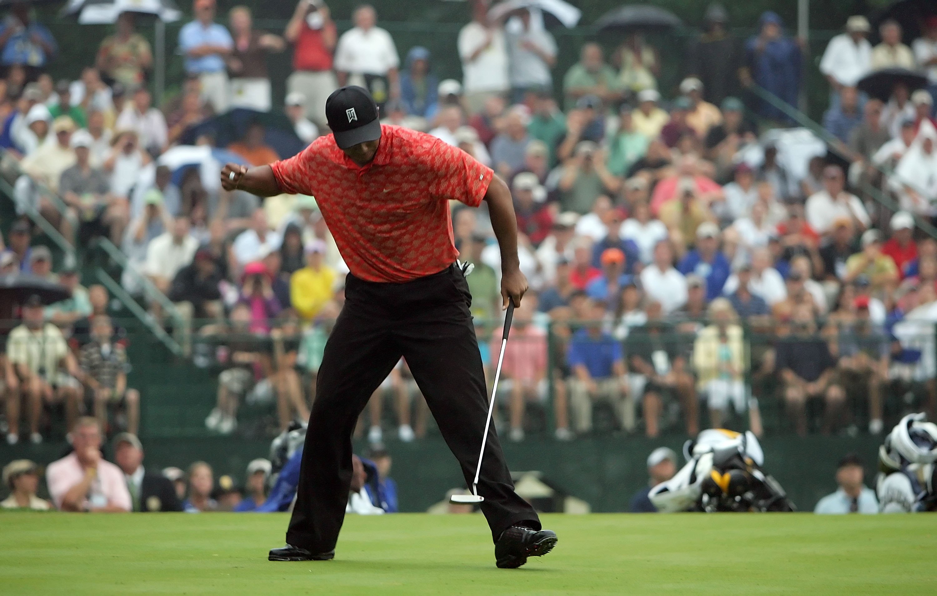 Tiger fist pump 0030