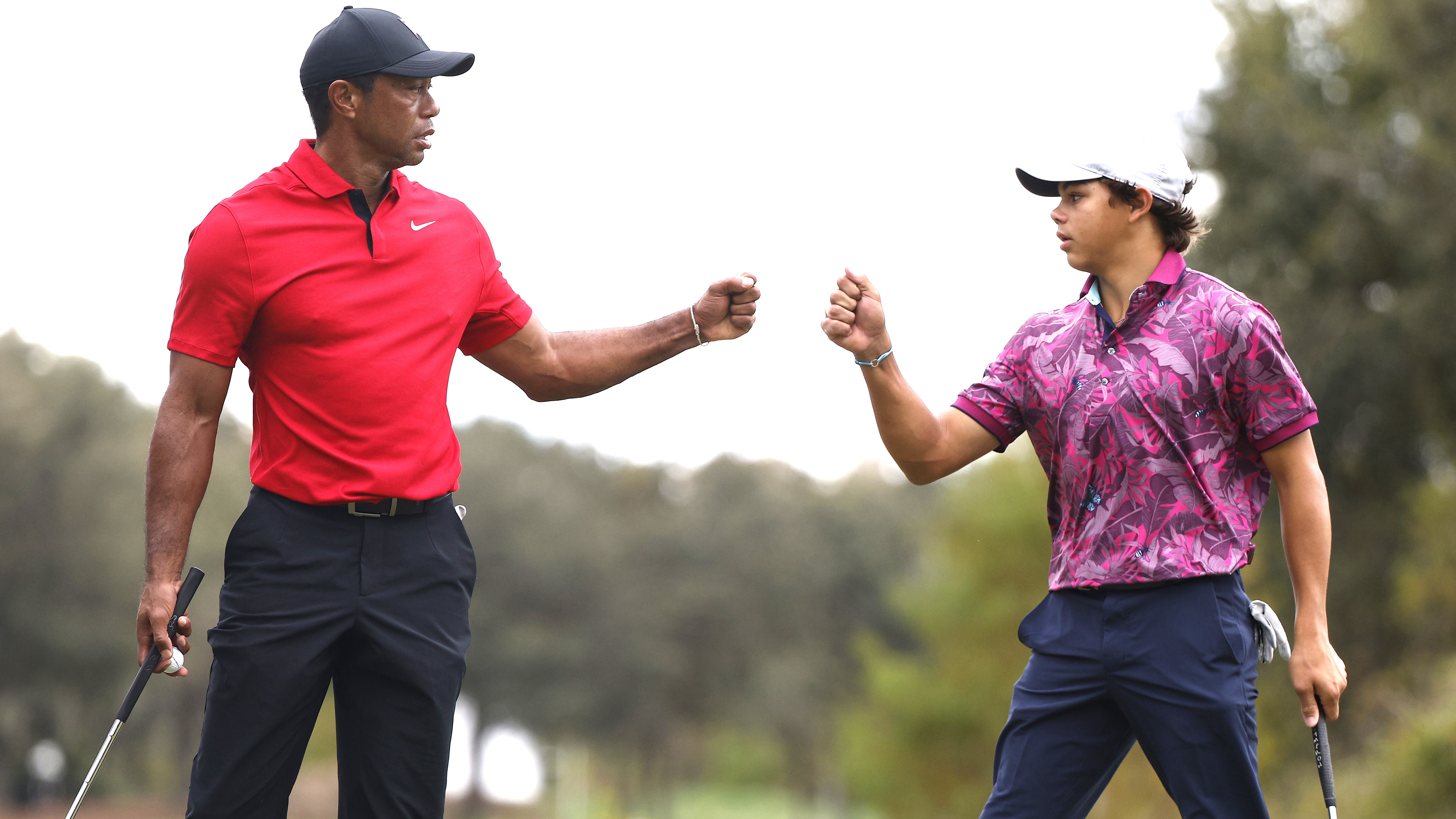 Tiger fist pump 0036