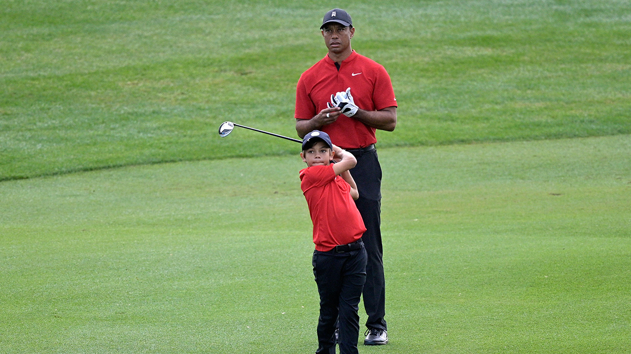 Tiger fist pump 0039
