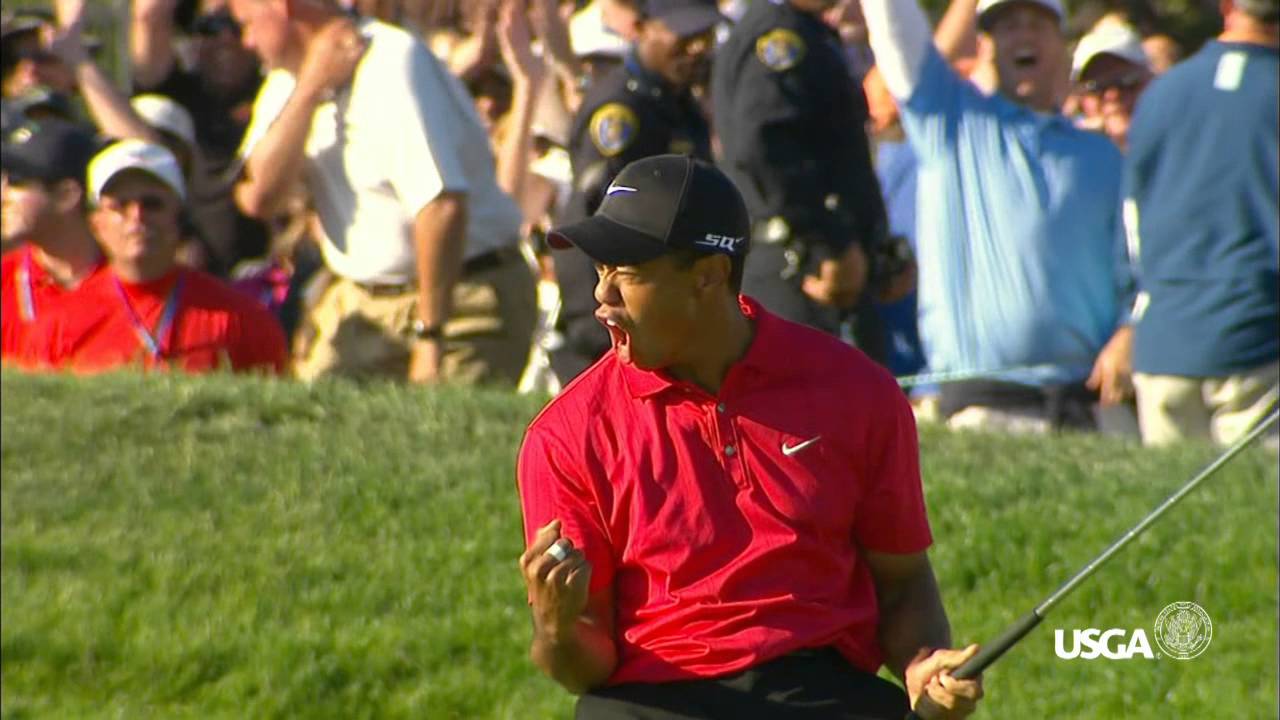 Tiger fist pump 0041