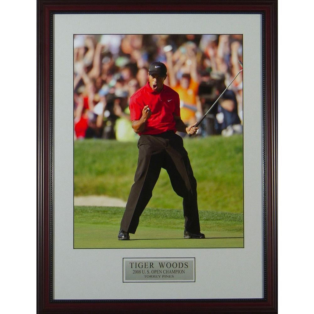 Tiger fist pump 0042