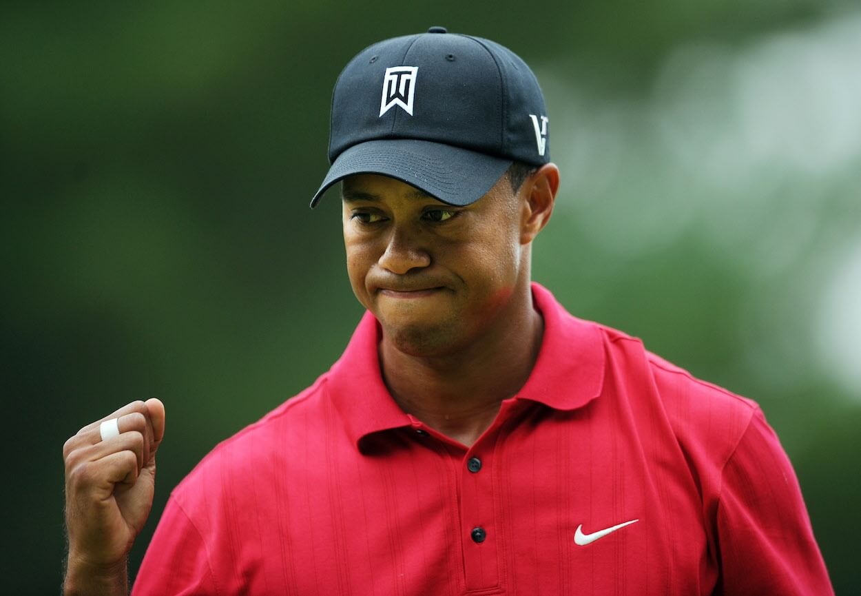 Tiger fist pump 0044