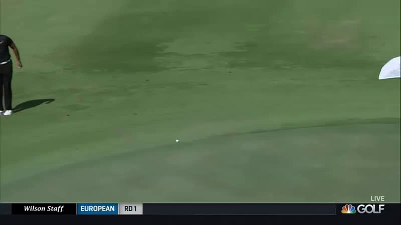 Tiger fist pump 0046