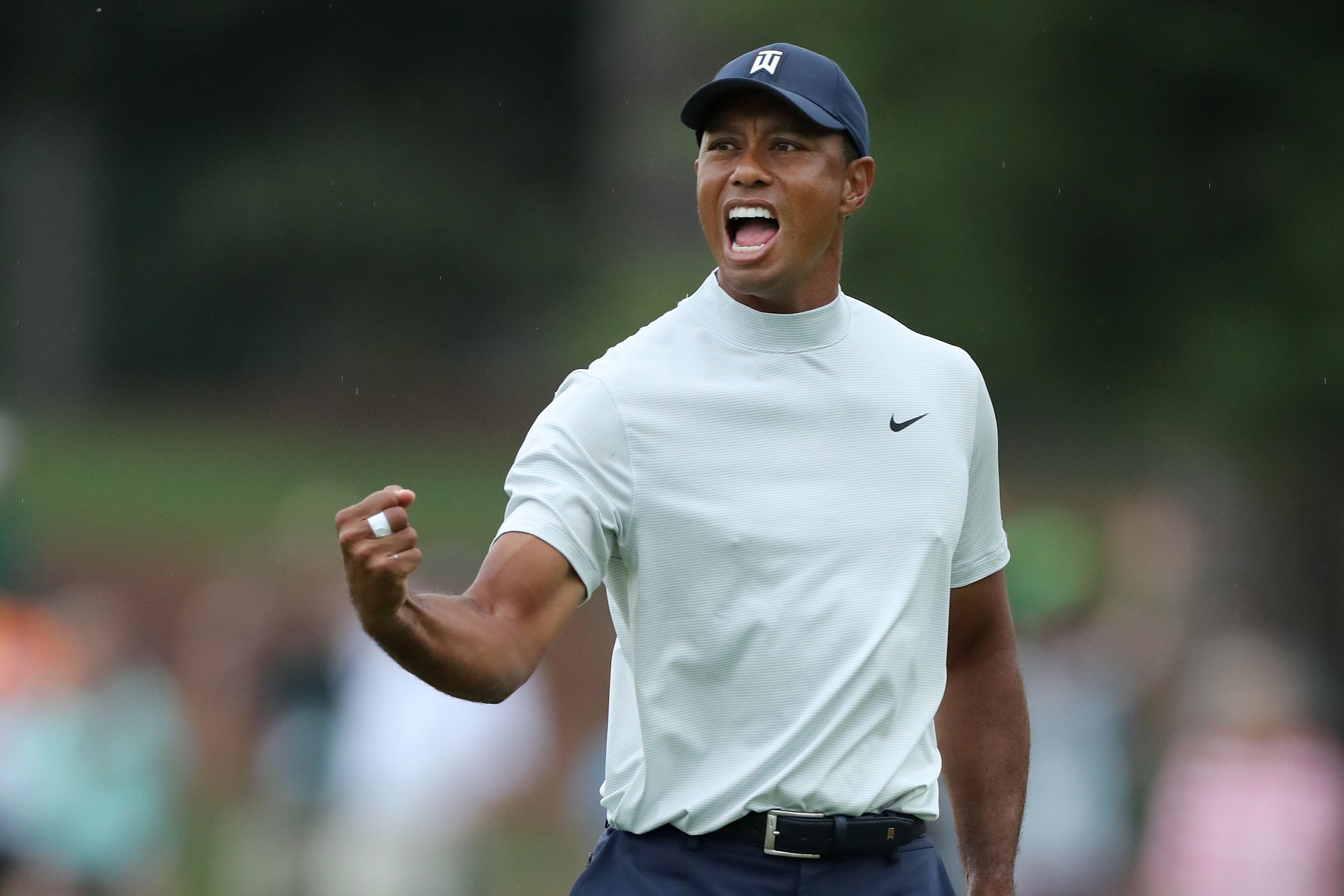 Tiger fist pump 0047